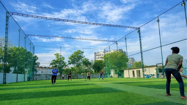 Turf main photo