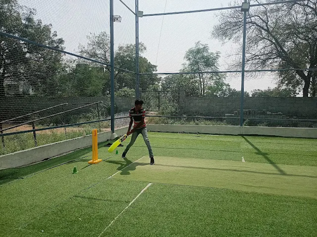Turf photo 2