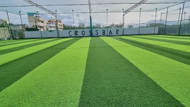 Turf photo 2