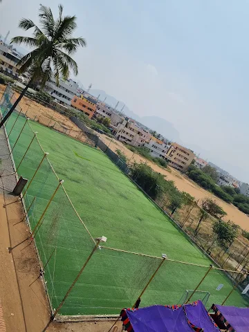 Turf photo 4