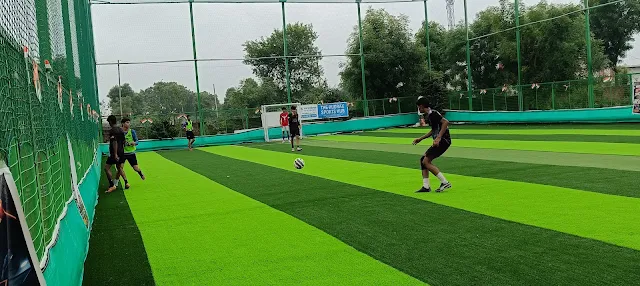 Turf photo 5