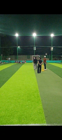 Turf photo 2