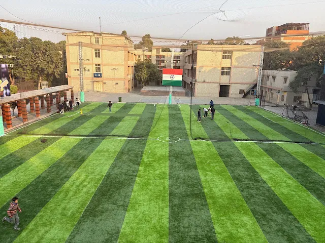 Turf photo 3