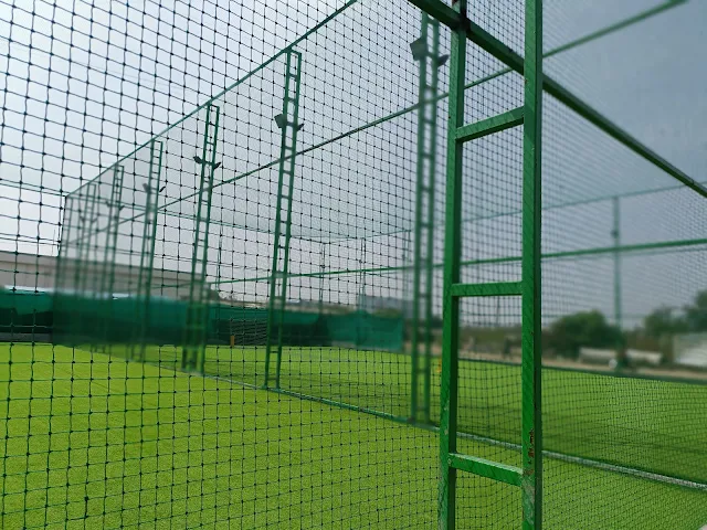 Turf photo 7