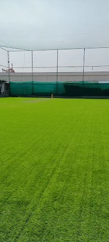 Turf photo 6