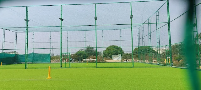 Turf photo 9