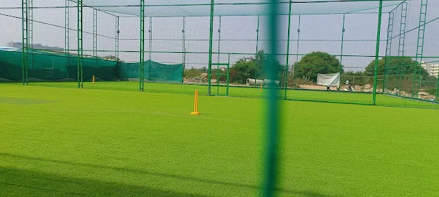 Turf photo 5
