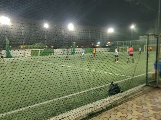 Turf photo 2