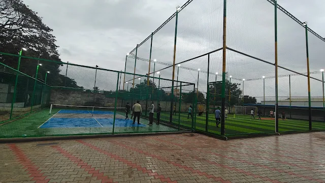 Turf photo 7
