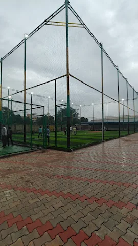 Turf photo 6