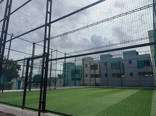 Turf photo 2