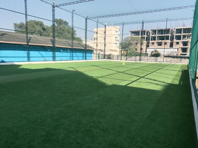 Turf photo 5