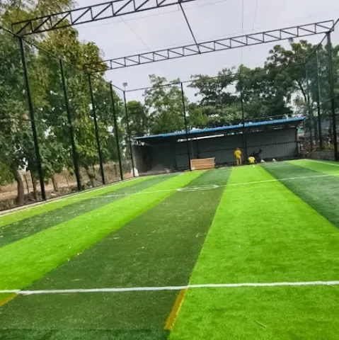 Turf photo 2