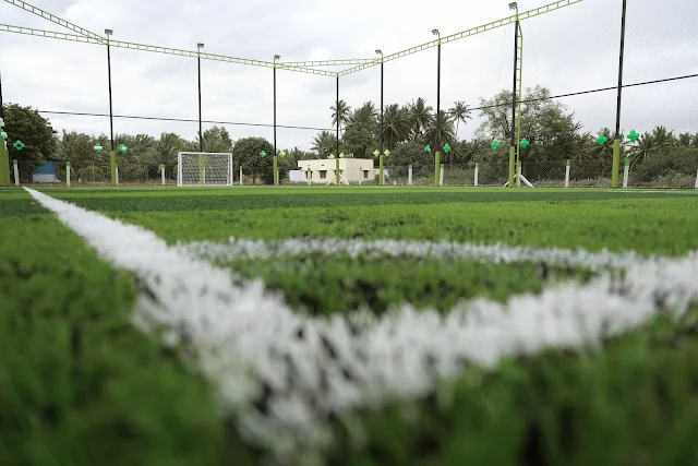 Turf photo 4