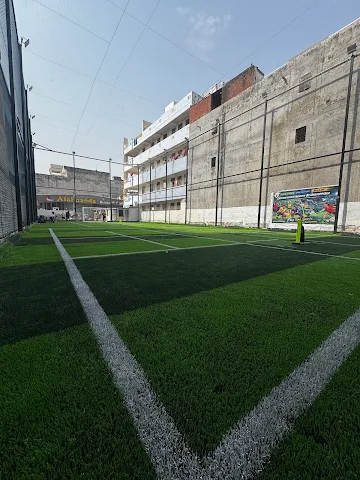 Turf photo 4