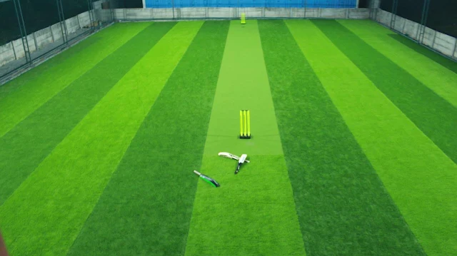 Turf photo 2