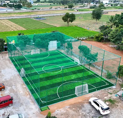 Turf main photo