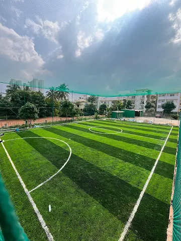 Turf photo 3
