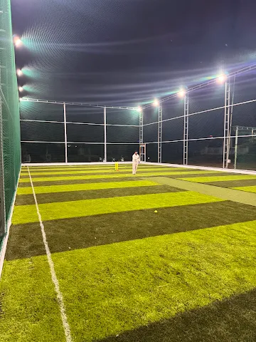 Turf photo 2