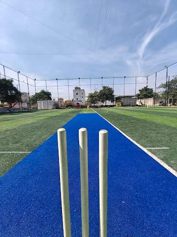 Turf photo 5