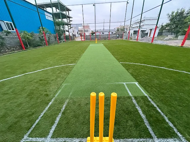 Turf main photo