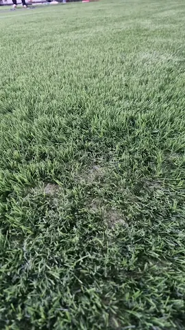 Turf photo 3