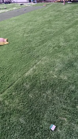 Turf photo 4