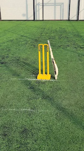 Turf photo 5