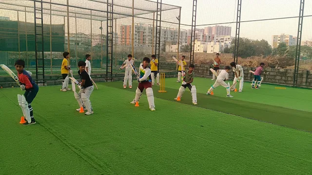 Turf main photo
