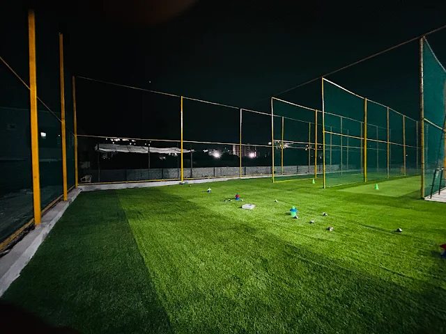 Turf photo 3