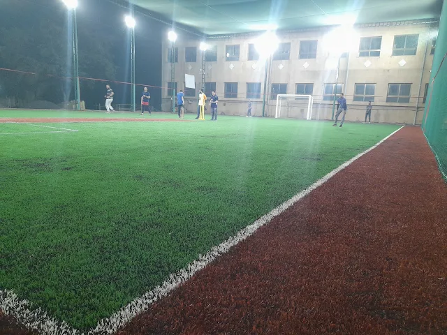 Turf photo 4