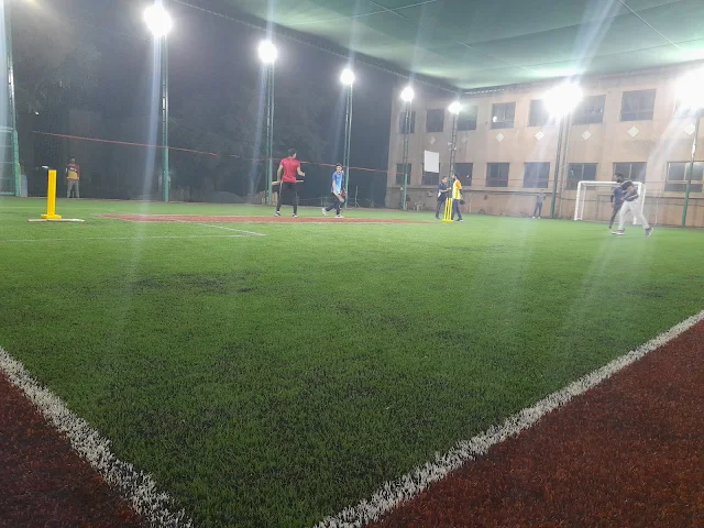 Turf photo 2