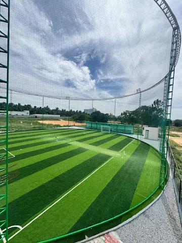 Turf photo 3