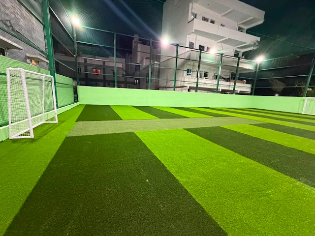 Turf photo 2