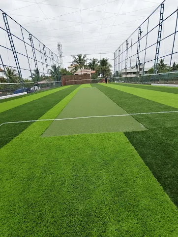 Turf photo 5