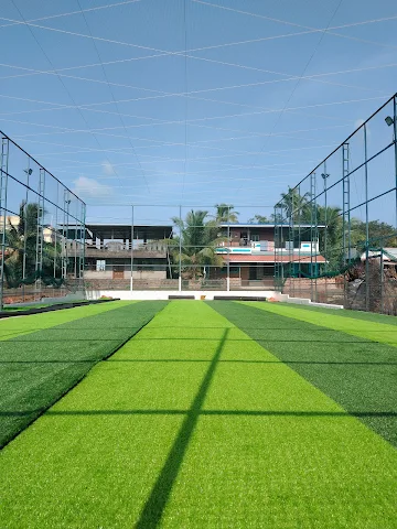 Turf photo 7