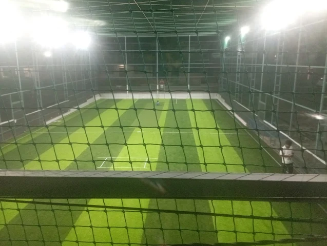 Turf photo 8