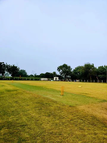 Turf photo 2