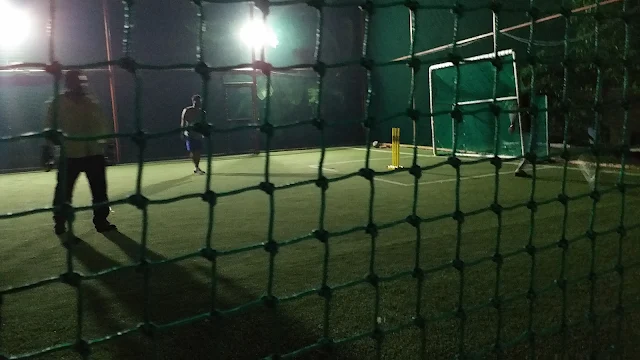 Turf photo 6