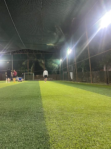Turf photo 2