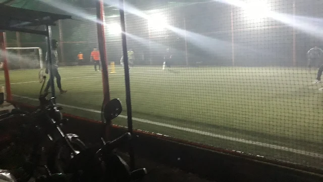 Turf photo 8