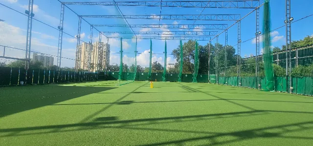 Turf photo 9