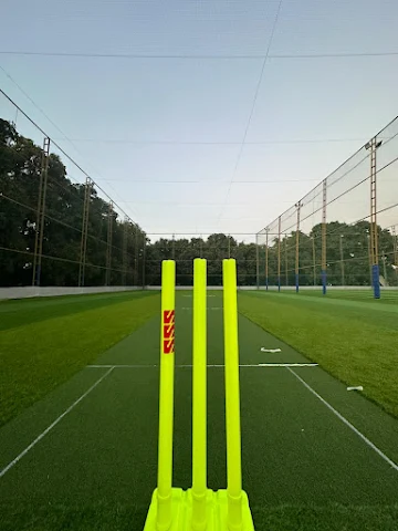 Turf photo 2