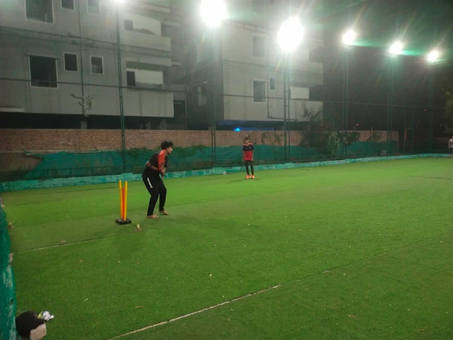 Turf photo 8