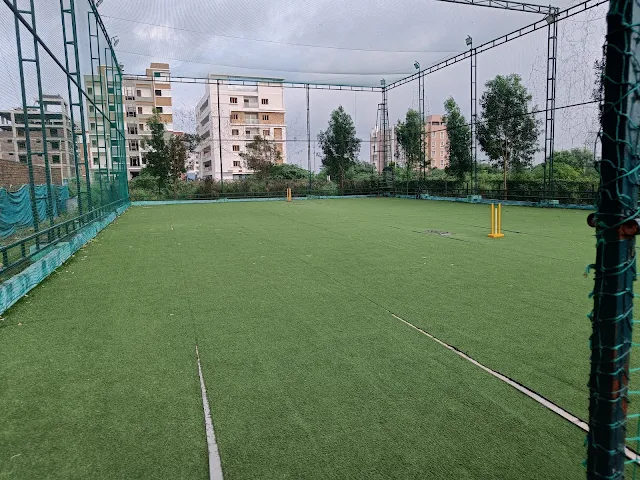 Turf photo 2