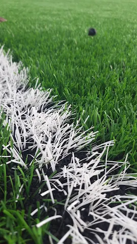 Turf photo 4