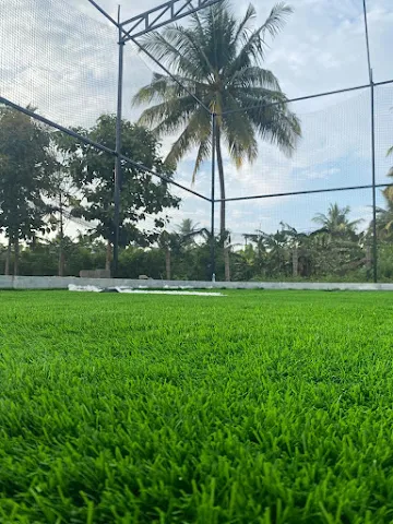 Turf photo 3