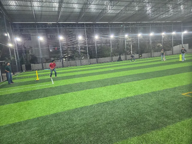 Turf photo 2