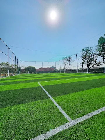 Turf photo 3