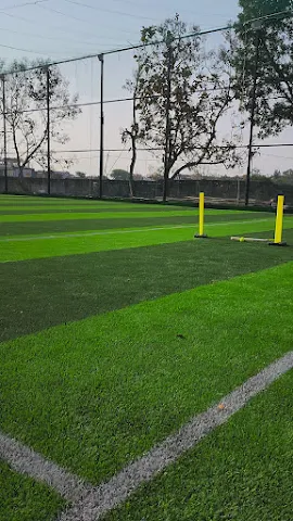 Turf photo 6